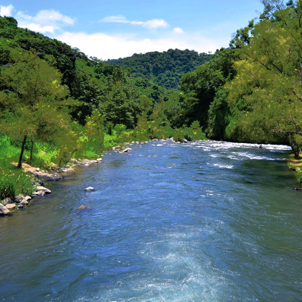 Rio Pescados